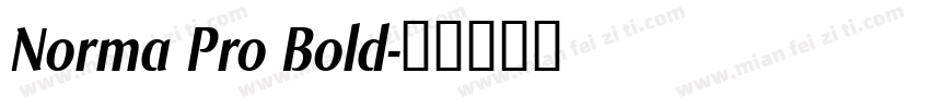 Norma Pro Bold字体转换